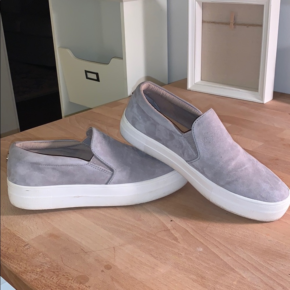 Steve Madden Shoes - Gills Grey Suede